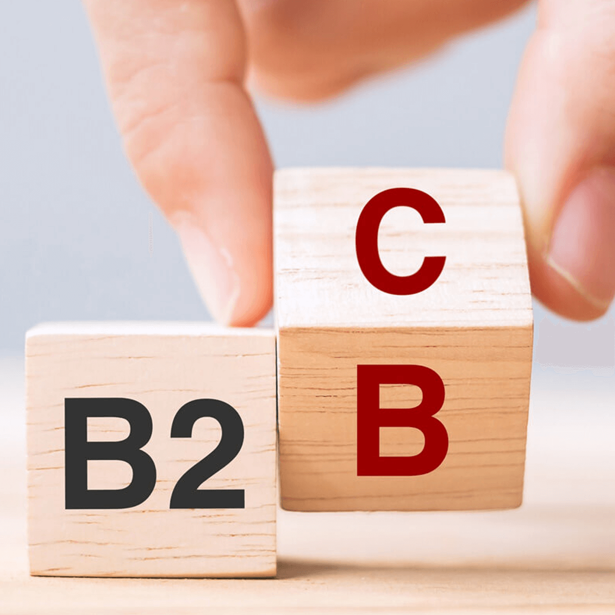 B2B/B2C Portals